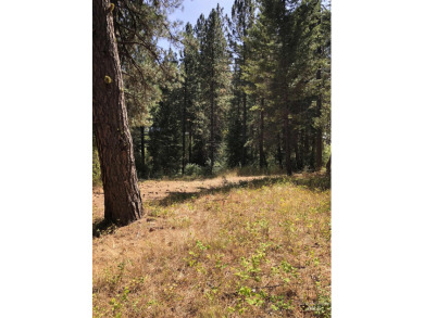 Charming 1.11-Acre Lot in popular Castle Mountain Creeks - on Terrace Lakes Golf Resort in Idaho - for sale on GolfHomes.com, golf home, golf lot