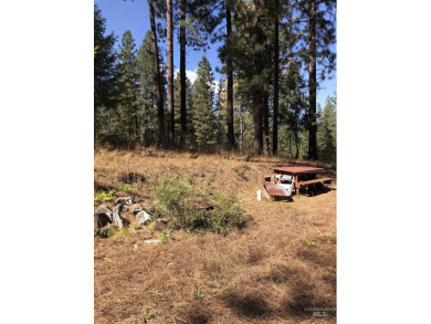 Charming 1.11-Acre Lot in popular Castle Mountain Creeks - on Terrace Lakes Golf Resort in Idaho - for sale on GolfHomes.com, golf home, golf lot