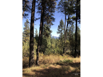 Charming 1.11-Acre Lot in popular Castle Mountain Creeks - on Terrace Lakes Golf Resort in Idaho - for sale on GolfHomes.com, golf home, golf lot