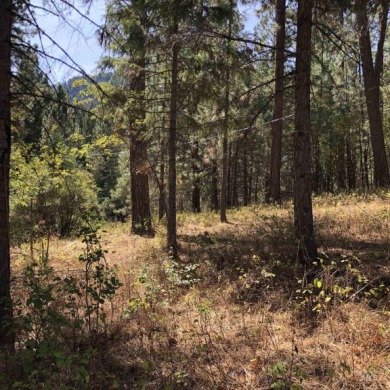 Charming 1.11-Acre Lot in popular Castle Mountain Creeks - on Terrace Lakes Golf Resort in Idaho - for sale on GolfHomes.com, golf home, golf lot