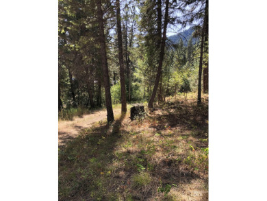 Charming 1.11-Acre Lot in popular Castle Mountain Creeks - on Terrace Lakes Golf Resort in Idaho - for sale on GolfHomes.com, golf home, golf lot
