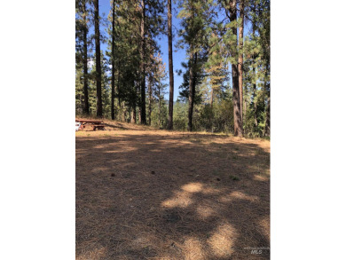 Charming 1.11-Acre Lot in popular Castle Mountain Creeks - on Terrace Lakes Golf Resort in Idaho - for sale on GolfHomes.com, golf home, golf lot
