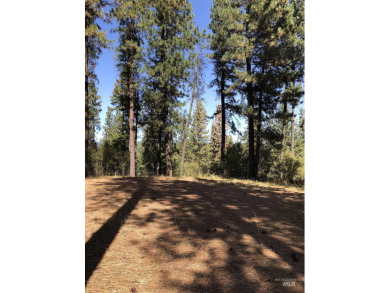 Charming 1.11-Acre Lot in popular Castle Mountain Creeks - on Terrace Lakes Golf Resort in Idaho - for sale on GolfHomes.com, golf home, golf lot