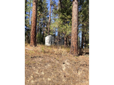 Charming 1.11-Acre Lot in popular Castle Mountain Creeks - on Terrace Lakes Golf Resort in Idaho - for sale on GolfHomes.com, golf home, golf lot