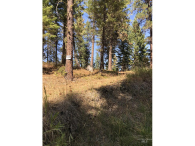 Charming 1.11-Acre Lot in popular Castle Mountain Creeks - on Terrace Lakes Golf Resort in Idaho - for sale on GolfHomes.com, golf home, golf lot