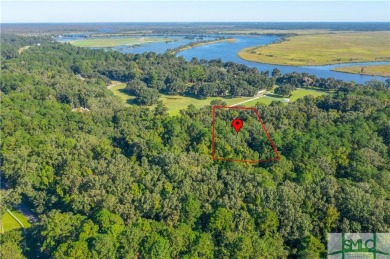 Build your dream home among centuries-old live oak trees draped on The Ford Field and River Club  in Georgia - for sale on GolfHomes.com, golf home, golf lot