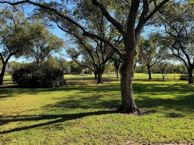 Charming Home in Gated Pecan Plantation with Versatile Studio on Pecan Plantation Country Club in Texas - for sale on GolfHomes.com, golf home, golf lot