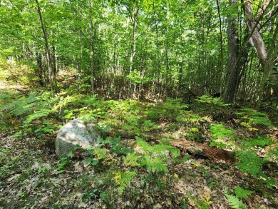 GOT LAND? Just in time for Hunting Season! These 10 acres are on White Pine National Golf Resort in Michigan - for sale on GolfHomes.com, golf home, golf lot