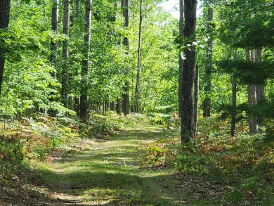 GOT LAND? Just in time for Hunting Season! These 10 acres are on White Pine National Golf Resort in Michigan - for sale on GolfHomes.com, golf home, golf lot