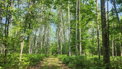 GOT LAND? Just in time for Hunting Season! These 10 acres are on White Pine National Golf Resort in Michigan - for sale on GolfHomes.com, golf home, golf lot