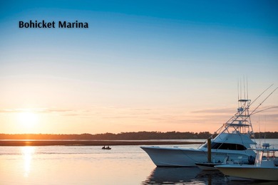 ACTIVE SHORT-TERM RENTAL LICENSE!Welcome to this beautifully on The Seabrook Island Club in South Carolina - for sale on GolfHomes.com, golf home, golf lot