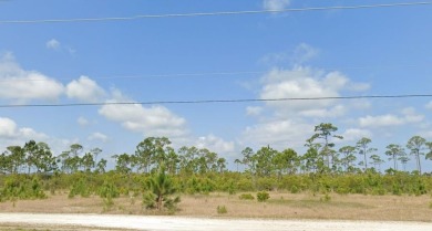 Enjoy breathtaking sunset views!  This cleared building lot is on Saint Josephs Bay Country Club in Florida - for sale on GolfHomes.com, golf home, golf lot