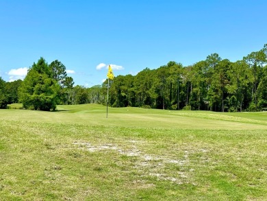 **INTERIOR PHOTOS TO COME-Tucked Away on Royal Tern Way - on St. James Bay in Florida - for sale on GolfHomes.com, golf home, golf lot