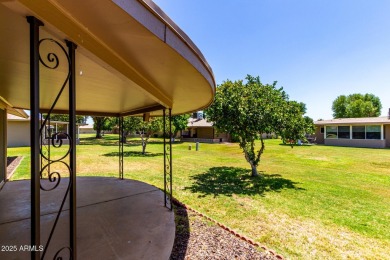 Discover Sun City Living in this charming 2-bed, 2-bath Gemini on Sun City Lakes West and East in Arizona - for sale on GolfHomes.com, golf home, golf lot