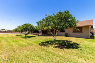 Discover Sun City Living in this charming 2-bed, 2-bath Gemini on Sun City Lakes West and East in Arizona - for sale on GolfHomes.com, golf home, golf lot