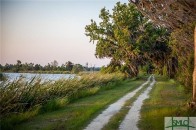 This exceptional estate homesite is located within Georgia's on The Ford Field and River Club  in Georgia - for sale on GolfHomes.com, golf home, golf lot