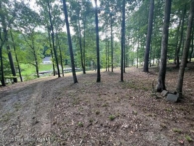 Large, waterfront mostly cleared lot with ample space for on Lake Winds Golf Course in Alabama - for sale on GolfHomes.com, golf home, golf lot