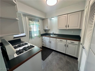 Welcome to low-maintenance living at its finest! This on Briardale Greens Golf Course in Ohio - for sale on GolfHomes.com, golf home, golf lot