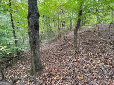 Discover the perfect setting for your dream home at Lot 296 in on The Trail At Chickasaw Pointe in South Carolina - for sale on GolfHomes.com, golf home, golf lot