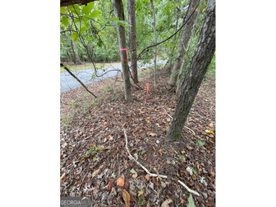 Discover the perfect setting for your dream home at Lot 296 in on The Trail At Chickasaw Pointe in South Carolina - for sale on GolfHomes.com, golf home, golf lot