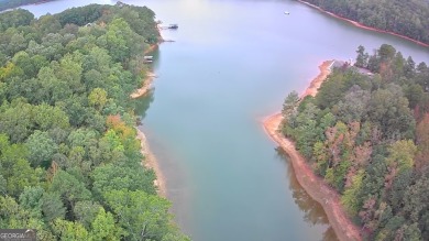 Discover the perfect setting for your dream home at Lot 296 in on The Trail At Chickasaw Pointe in South Carolina - for sale on GolfHomes.com, golf home, golf lot