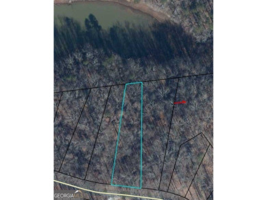 Discover the perfect setting for your dream home at Lot 296 in on The Trail At Chickasaw Pointe in South Carolina - for sale on GolfHomes.com, golf home, golf lot