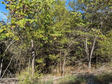 Ready to build your dream home? Quiet and gently wooded within a on Holiday Island Executive Golf Course in Arkansas - for sale on GolfHomes.com, golf home, golf lot