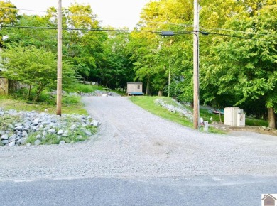 Discover an exceptional opportunity to build your dream home on Mineral Mound Golf Course in Kentucky - for sale on GolfHomes.com, golf home, golf lot
