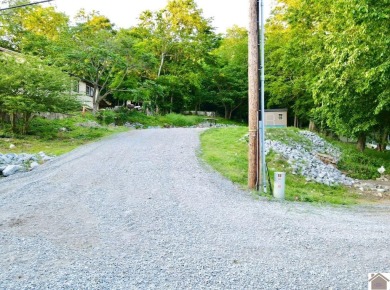 Discover an exceptional opportunity to build your dream home on Mineral Mound Golf Course in Kentucky - for sale on GolfHomes.com, golf home, golf lot