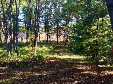 Build your dream home on this beautiful private acreage on the on The Links of Bowen Lake in Michigan - for sale on GolfHomes.com, golf home, golf lot