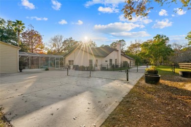 One or more photo(s) has been virtually staged. Welcome to Your on Skyview At Terra Vista Golf and Country Club in Florida - for sale on GolfHomes.com, golf home, golf lot