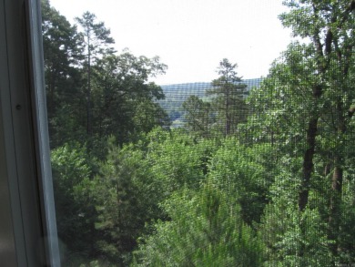 BREATHTAKING VIEWS OF THE MOUNTAINS & LAKE CORTEZE BUILD YOUR on Cortez Golf Course in Arkansas - for sale on GolfHomes.com, golf home, golf lot