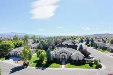 Tammy Monroe, Keller Williams Realty Southwest Associates, LLC - on Links At Cobble Creek in Colorado - for sale on GolfHomes.com, golf home, golf lot