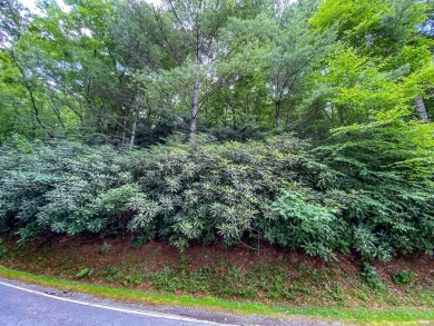 This building lot in Sky Valley is a great opportunity to build on Sky Valley Resort and Country Club in Georgia - for sale on GolfHomes.com, golf home, golf lot