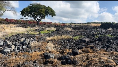 One and a quarter acre homesite at Hokuli'a for $295,000! Yes on Club At Hokulia in Hawaii - for sale on GolfHomes.com, golf home, golf lot
