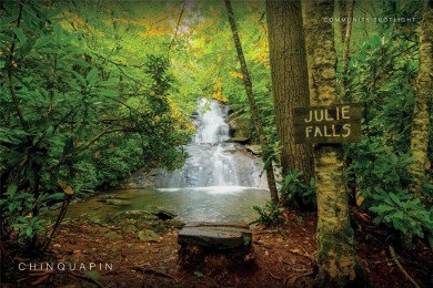 Experience mountain living at its finest with this fully on Natures Walk At Chinquapin in North Carolina - for sale on GolfHomes.com, golf home, golf lot
