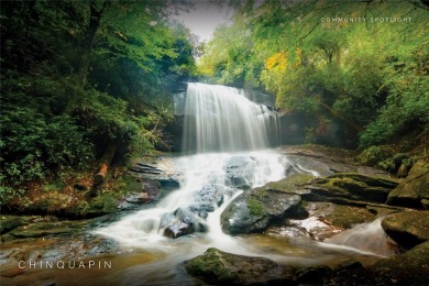 Experience mountain living at its finest with this fully on Natures Walk At Chinquapin in North Carolina - for sale on GolfHomes.com, golf home, golf lot