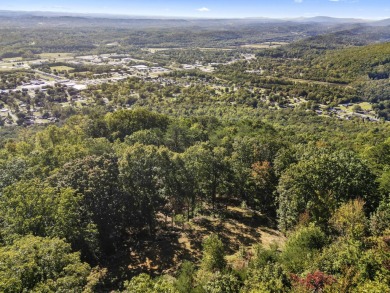 Welcome to 8703 Terrace Falls Drive, where Mowbray Mountain TN on Mont Lake Golf Course in Tennessee - for sale on GolfHomes.com, golf home, golf lot