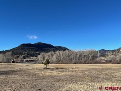 Trisha Taylor, RE/MAX Pinnacle, C: , trisha,  : This large lot on Rio Grande Golf Club in Colorado - for sale on GolfHomes.com, golf home, golf lot