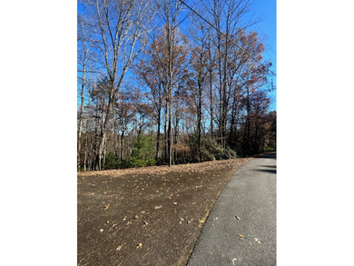 Build your mountain dream home on this private homesite, with an on White Path Golf Club in Georgia - for sale on GolfHomes.com, golf home, golf lot