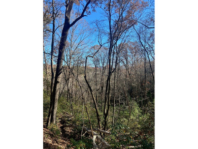 Build your mountain dream home on this private homesite, with an on White Path Golf Club in Georgia - for sale on GolfHomes.com, golf home, golf lot