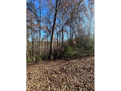 Build your mountain dream home on this private homesite, with an on White Path Golf Club in Georgia - for sale on GolfHomes.com, golf home, golf lot