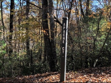 Build your mountain dream home on this private homesite, with an on White Path Golf Club in Georgia - for sale on GolfHomes.com, golf home, golf lot