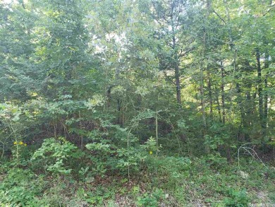 Here is a 7-lot package deal. You can purchase all 7 lots for on Cherokee Village South Course in Arkansas - for sale on GolfHomes.com, golf home, golf lot