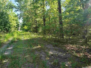 Here is a 7-lot package deal. You can purchase all 7 lots for on Cherokee Village South Course in Arkansas - for sale on GolfHomes.com, golf home, golf lot