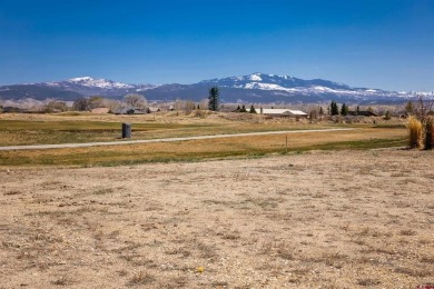 Makura Casias, Keller Williams Realty Southwest Associates, LLC on The Bridges Golf and Country Club in Colorado - for sale on GolfHomes.com, golf home, golf lot