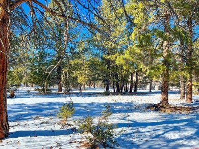 Chase K Girard, Ponderosa Real Estate The Source For Real Estate on The Divide Ranch and Club in Colorado - for sale on GolfHomes.com, golf home, golf lot