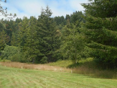 10.49 acres in Hiouchi with golf course frontage.  This parcel on Del Norte Golf Club in California - for sale on GolfHomes.com, golf home, golf lot
