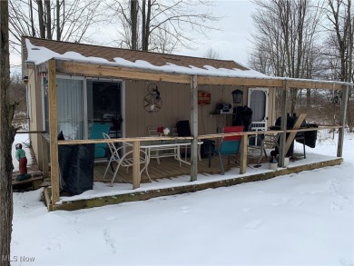 Welcome to this cozy 8 1/2 acre hunter/fishermen retreat located on Andover Golf Course in Ohio - for sale on GolfHomes.com, golf home, golf lot