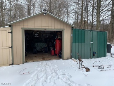 Welcome to this cozy 8 1/2 acre hunter/fishermen retreat located on Andover Golf Course in Ohio - for sale on GolfHomes.com, golf home, golf lot